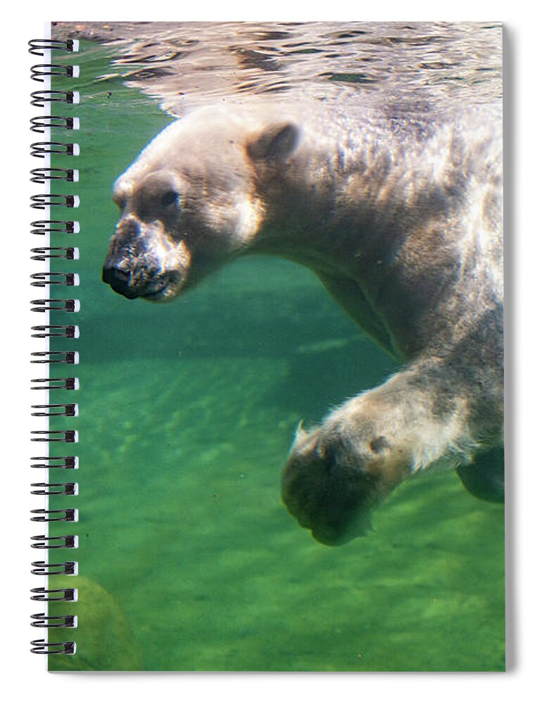 David Levin Photography Spiral Notebook featuring the photograph I'm Swimming as Fast as I Can by David Levin