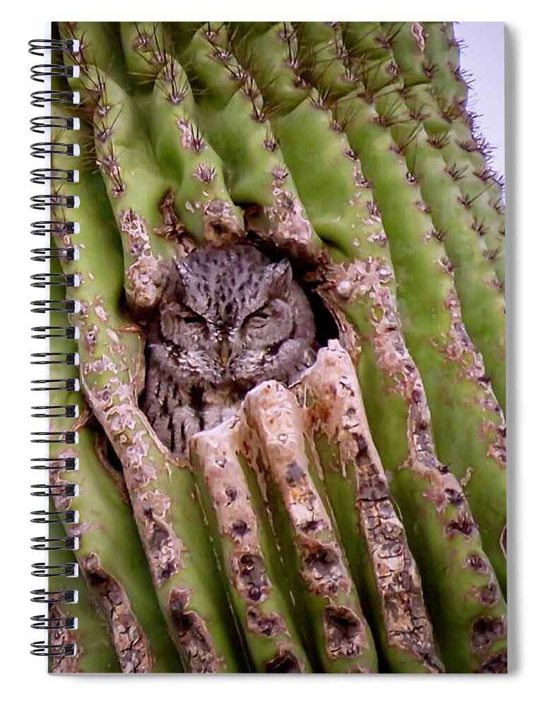  Burrows Spiral Notebook featuring the photograph I'm Trying to Sleep Here by Judy Kennedy