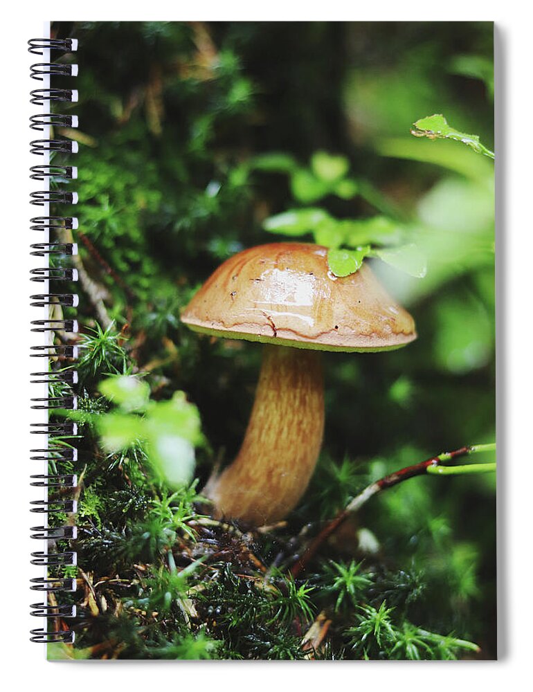 Hand Spiral Notebook featuring the photograph Imleria badia is squatting in the undergrowth. by Vaclav Sonnek