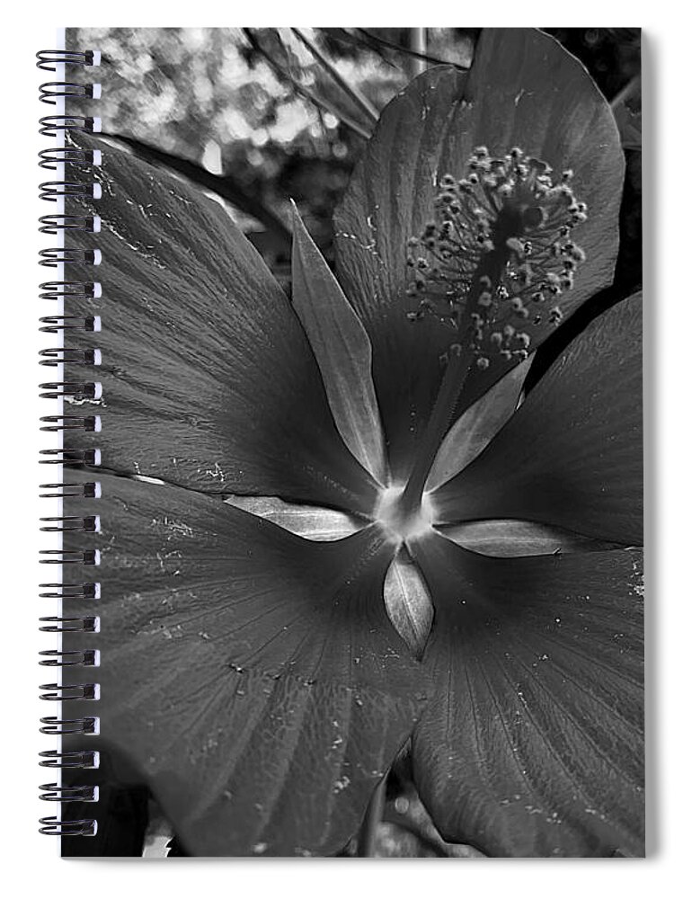 Flower Spiral Notebook featuring the photograph Imperfectly Perfect Macro BW by Lee Darnell