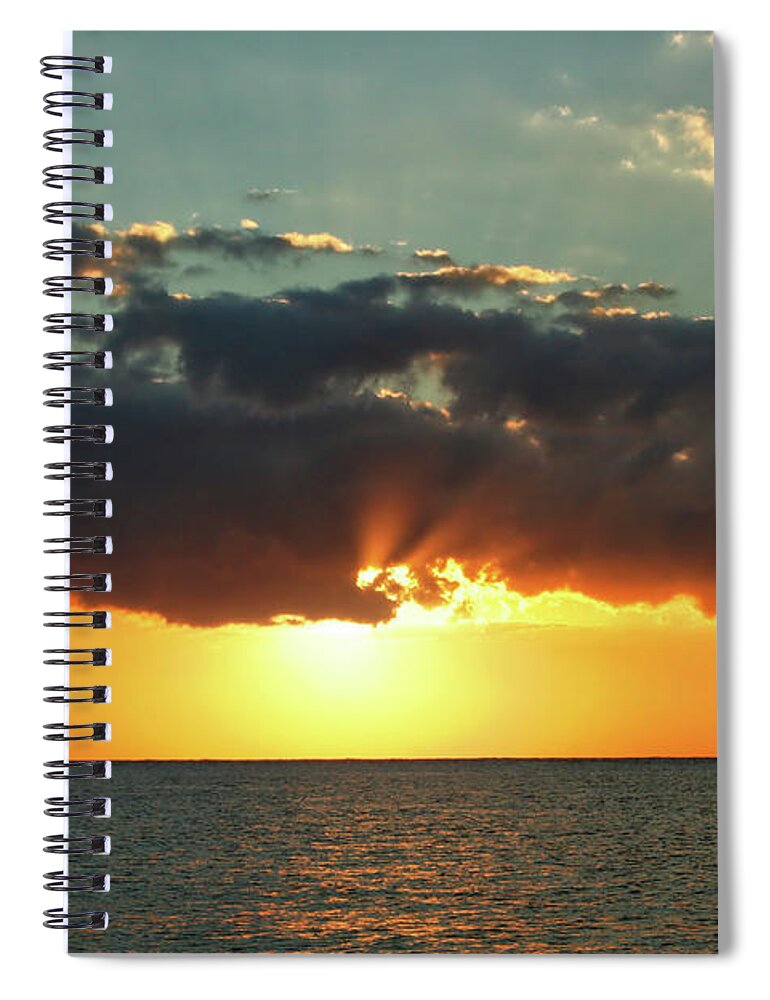Mexico Spiral Notebook featuring the photograph In All His Glory by Laurie Search