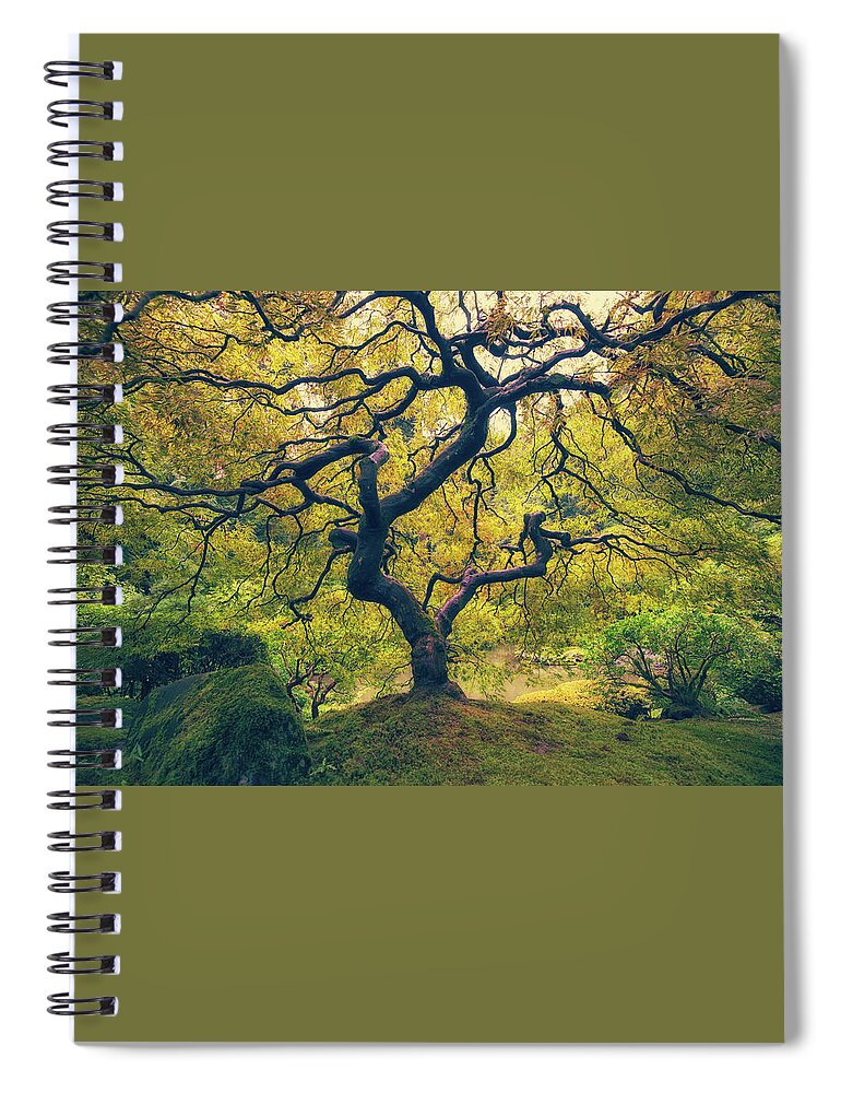 Branch Spiral Notebook featuring the photograph In Between by Jason Roberts