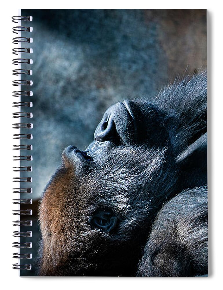 Animals Spiral Notebook featuring the photograph In Deep Thought by David Levin