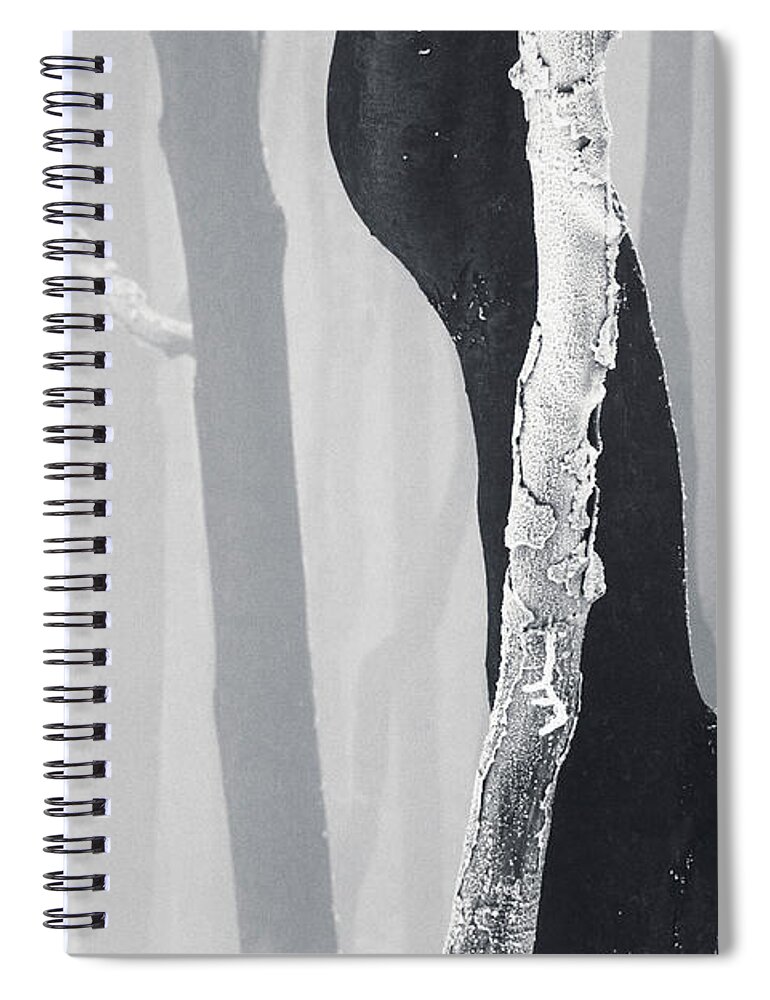Mountain Spiral Notebook featuring the photograph In Love by Evgeni Dinev