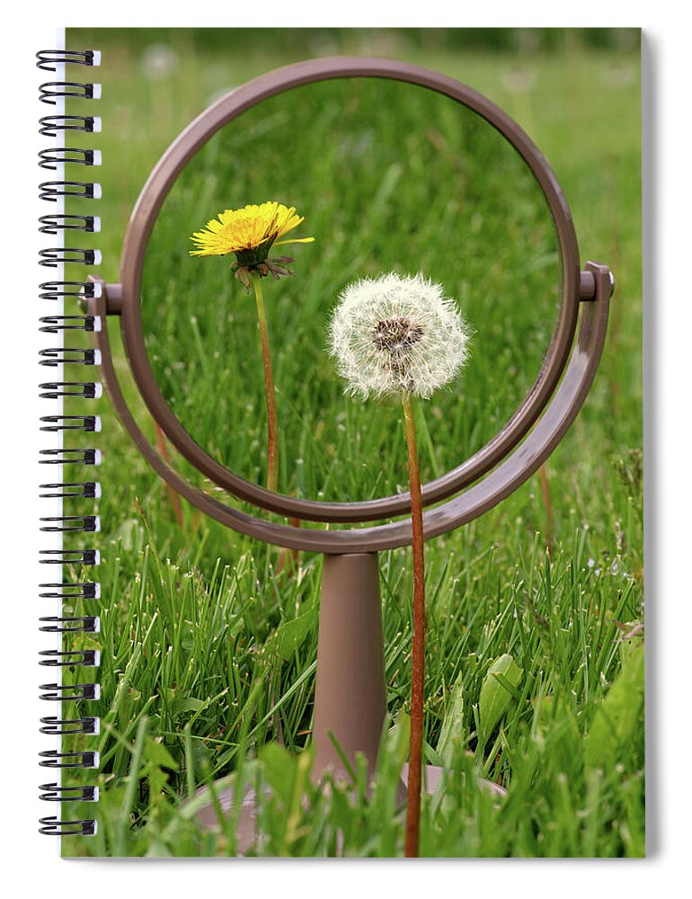 Dandelion Spiral Notebook featuring the photograph In the Eye of the Beholder - Dandelion seed puff with flower reflected in mirror by Peter Herman