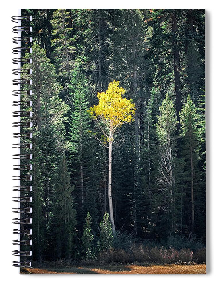 Fall Spiral Notebook featuring the photograph In The Midst by Gary Geddes