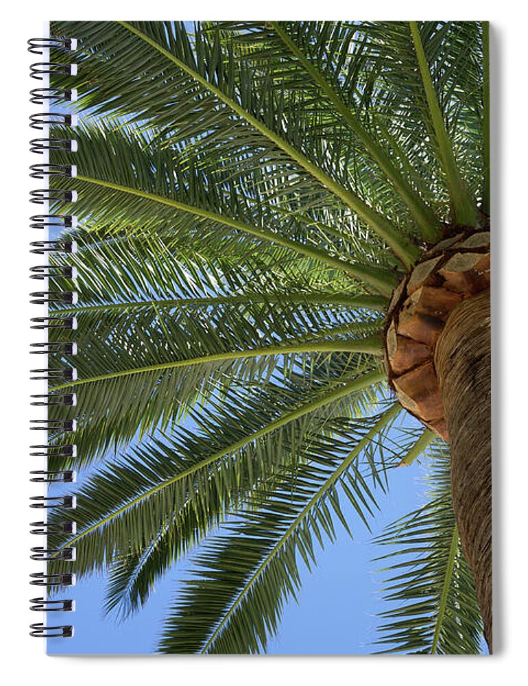 Palm Leaves Spiral Notebook featuring the photograph In the shade of a tall palm tree, summer on the beach by Adriana Mueller