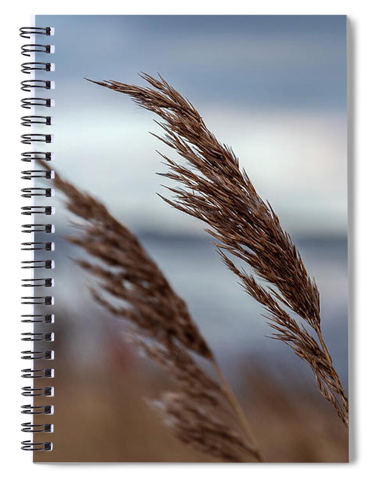 Breeze Spiral Notebook featuring the photograph In the soft Breeze. by Daniel M Walsh