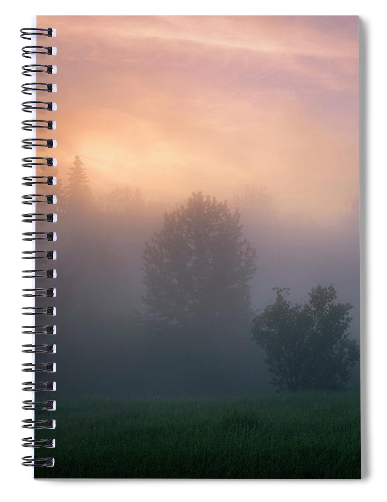 Landscape Spiral Notebook featuring the photograph In the Trees by Dan Jurak
