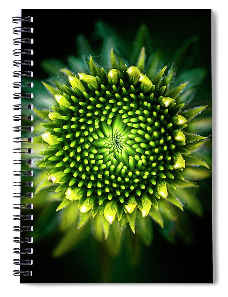 Blumwurks Spiral Notebook featuring the photograph Ineffable by Matthew Blum
