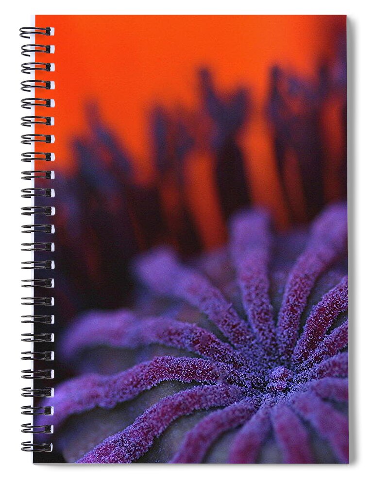 Flower Spiral Notebook featuring the photograph Inside Poppy by Julie Powell