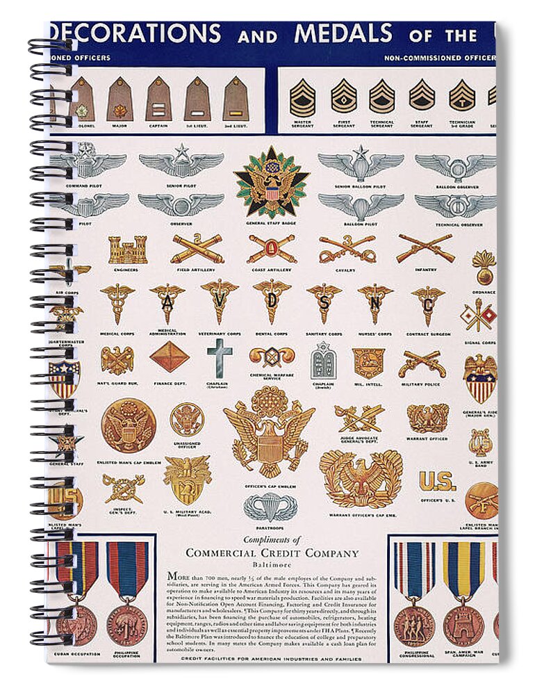 Army insignia us United States