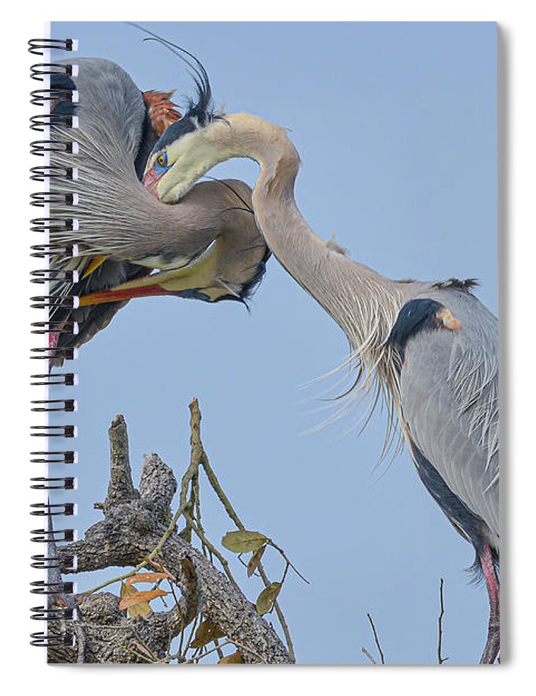 Great Spiral Notebook featuring the photograph Intertwined by Christopher Rice