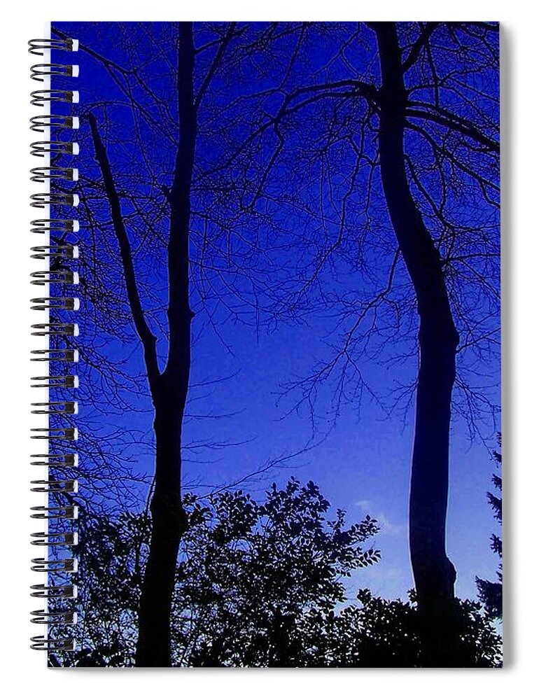 Trees Spiral Notebook featuring the photograph Into the blue by Christopher Rowlands