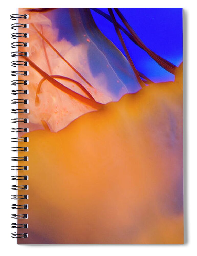 Jellyfish Spiral Notebook featuring the photograph Into The Blue by Melissa Southern