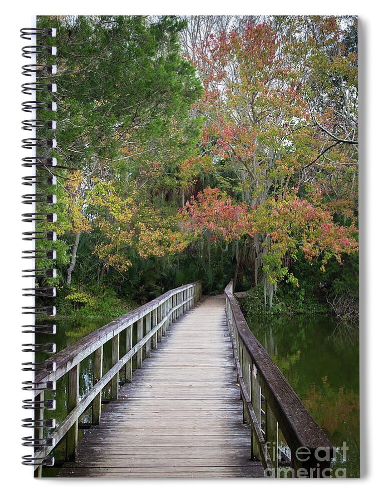 Landscape Spiral Notebook featuring the photograph Into the Forest by Neala McCarten