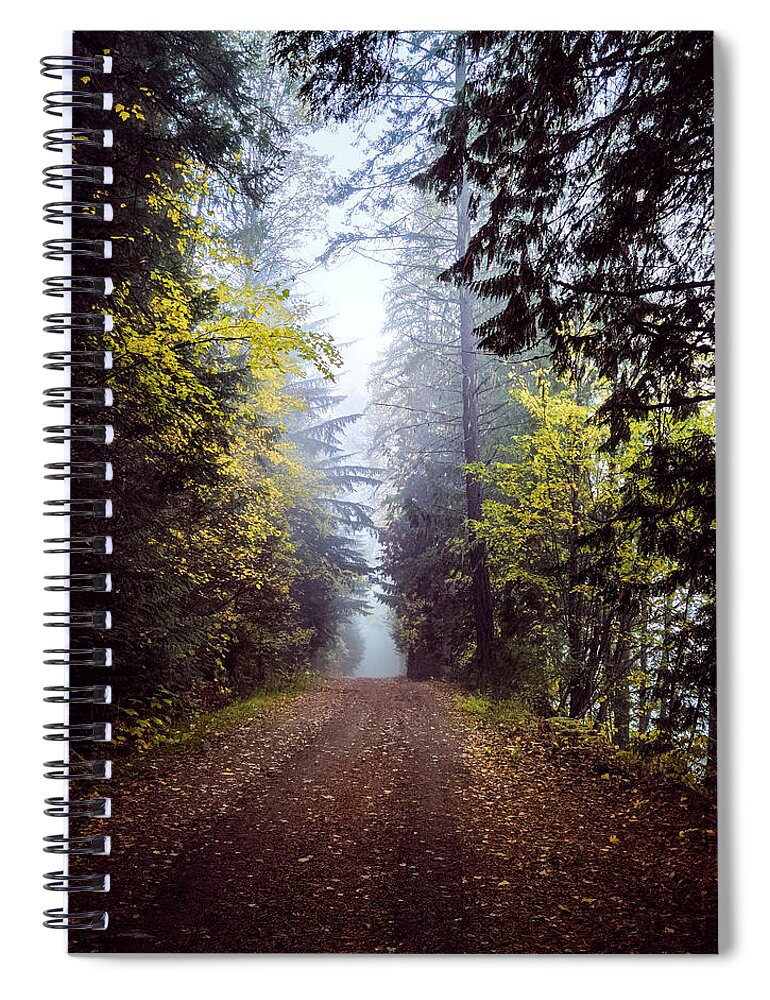 Mist Spiral Notebook featuring the photograph Into The Light by Carmen Kern