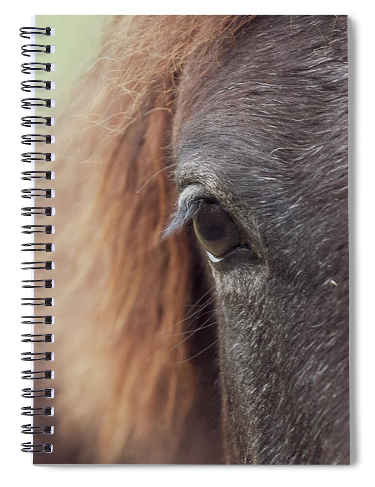 Horse Spiral Notebook featuring the photograph Into the Soul by Holly Ross