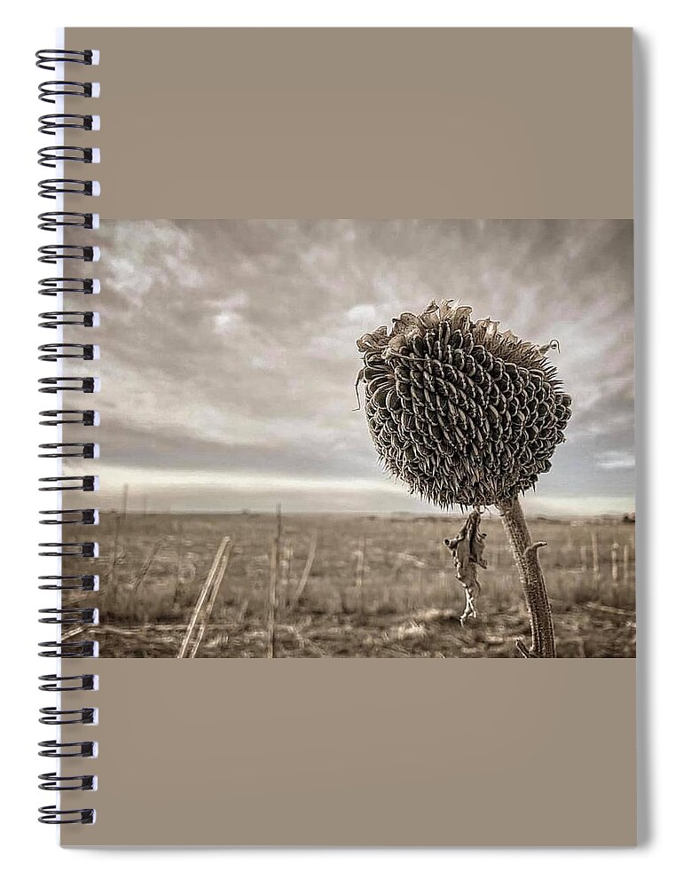 Iphonography Spiral Notebook featuring the photograph iPhonography Sunflower 1 by Julie Powell