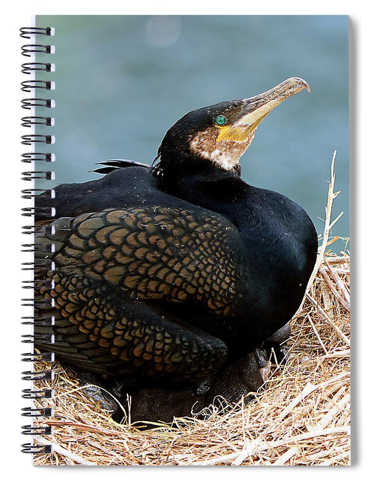  Spiral Notebook featuring the photograph Ireland 23 by Eric Pengelly
