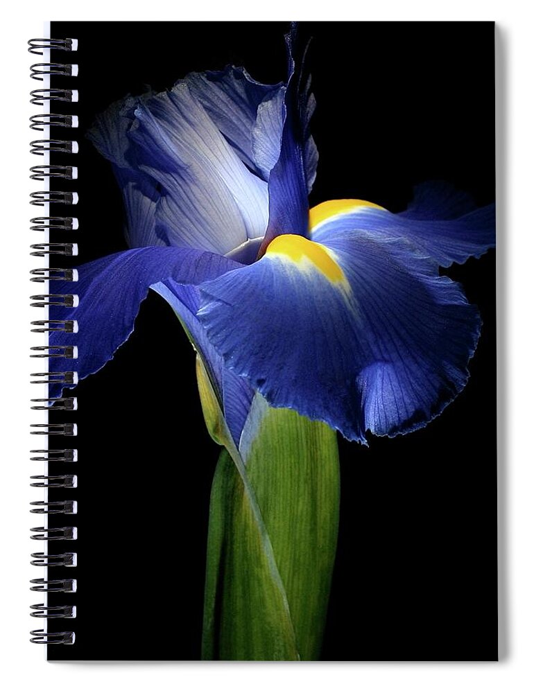 Macro Spiral Notebook featuring the photograph Iris 041907 by Julie Powell