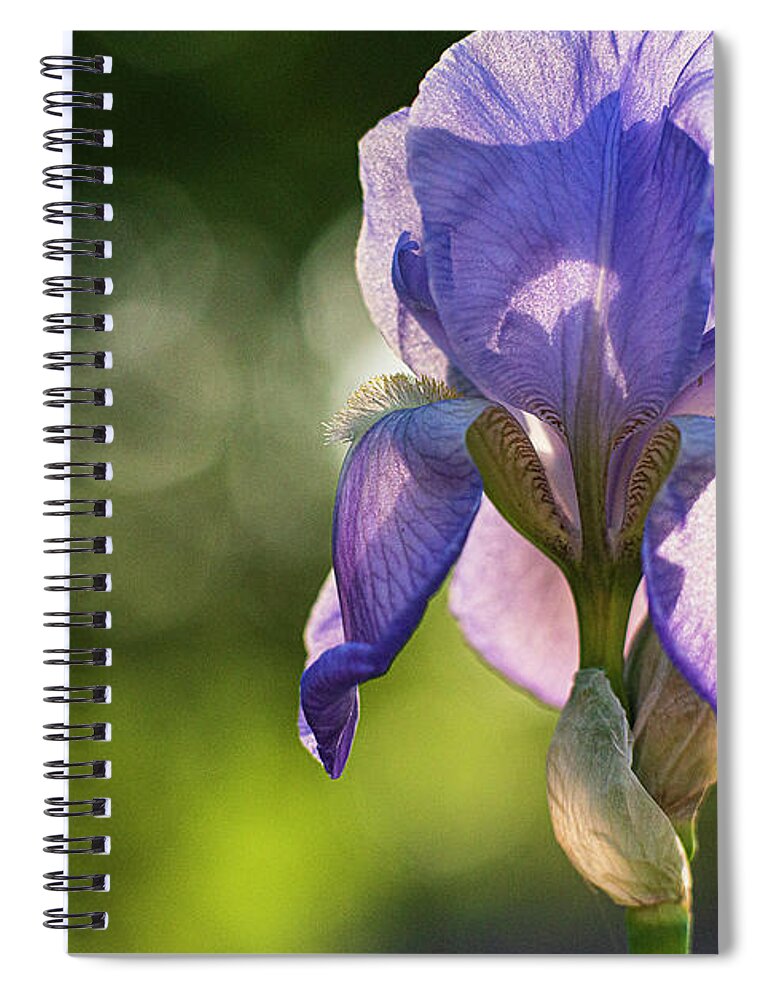 Iris Spiral Notebook featuring the photograph Iris 5 by Pamela Taylor
