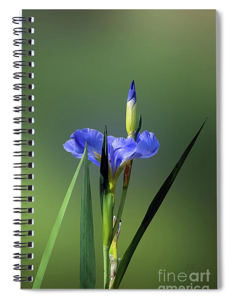 Floral Spiral Notebook featuring the photograph Iris and Bud by Elaine Teague