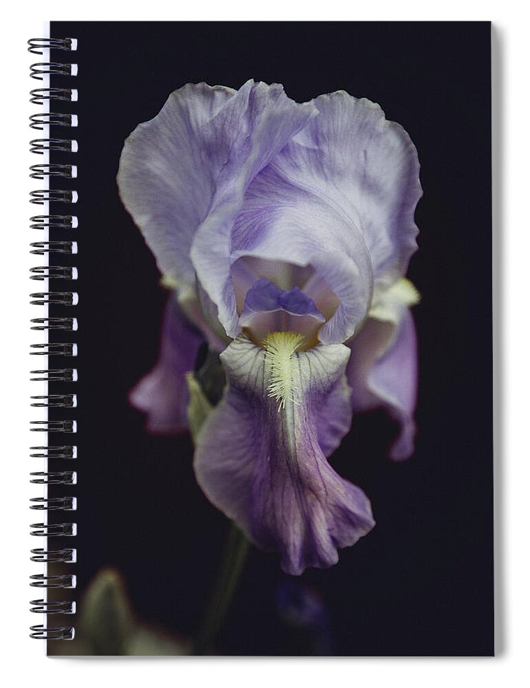 Iris Spiral Notebook featuring the photograph Iris by Denise Kopko