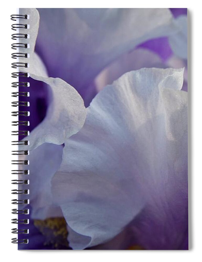 Iris Spiral Notebook featuring the photograph Iris Macro Purple Lace No. 7364 by Sherry Hallemeier