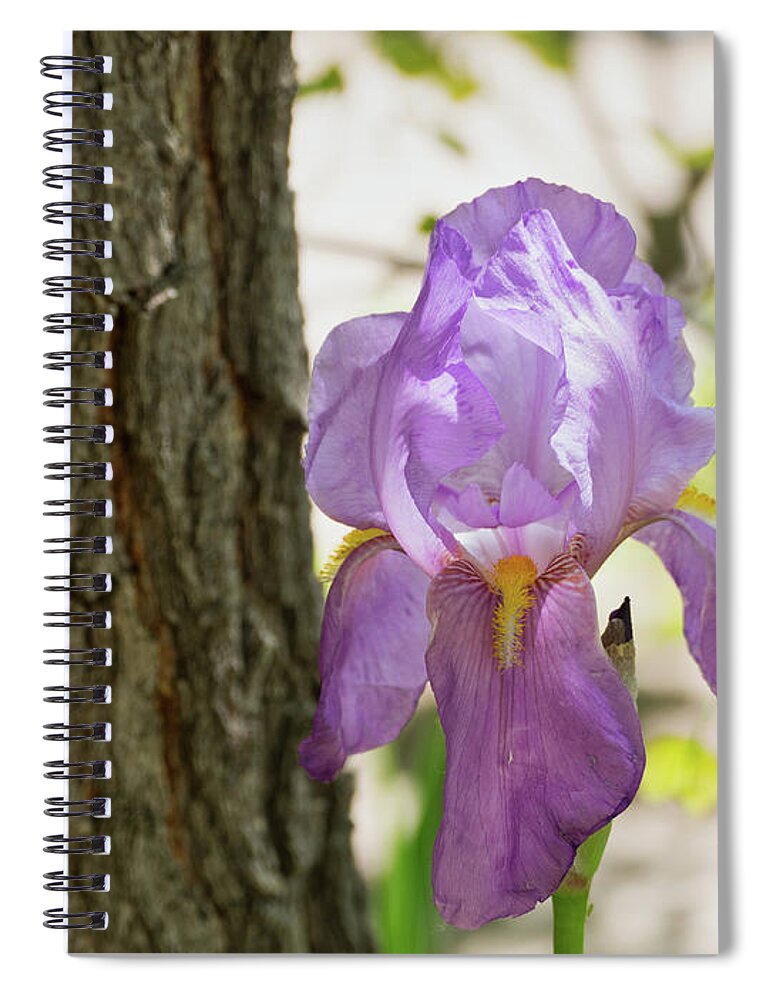 Flora Spiral Notebook featuring the photograph Iris by Segura Shaw Photography