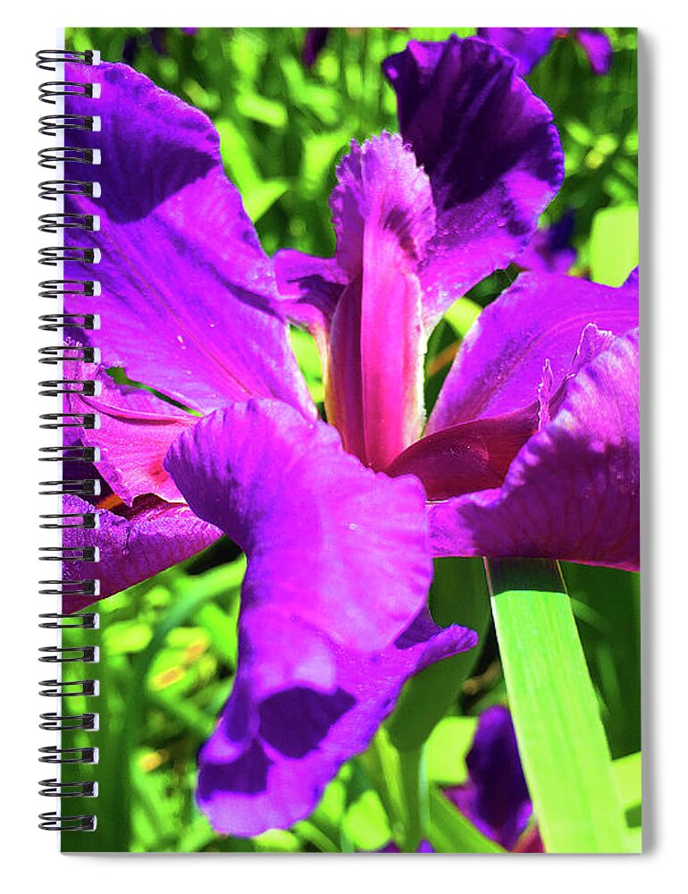 Iris Spiral Notebook featuring the photograph Iris Series 5 by Eunice Warfel