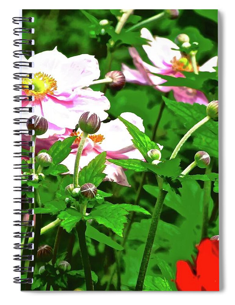Daisies Spiral Notebook featuring the photograph Irish Wildflowers by Stephanie Moore