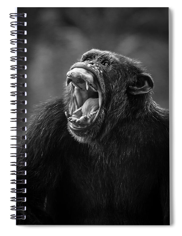 Chimp Spiral Notebook featuring the photograph Is Anyone Listening by Bill Cubitt