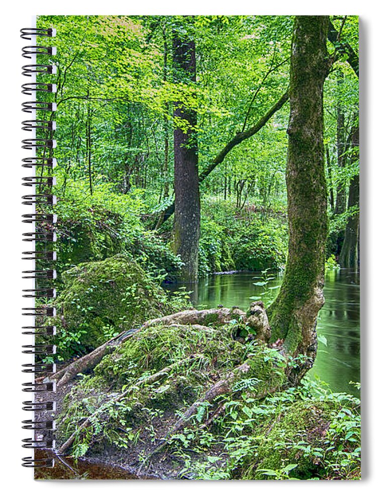 Croatan National Forest Spiral Notebook featuring the photograph Island Creek Trail of the Croatan National Forest by Bob Decker