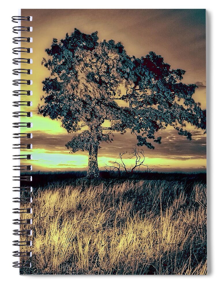 North Carolina Spiral Notebook featuring the photograph Isolated at Sunrise fx by Dan Carmichael
