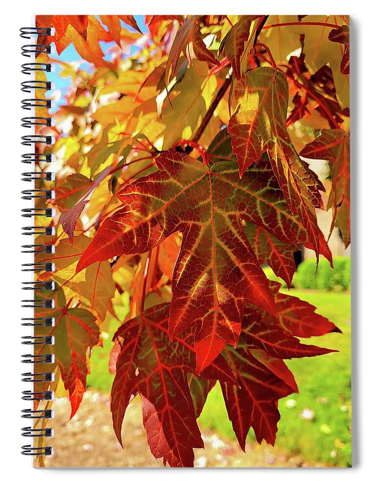 Leaves Spiral Notebook featuring the photograph It Is Time by Roberta Byram