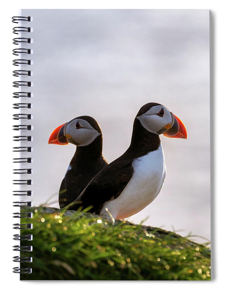 Faroes Spiral Notebook featuring the photograph I've Got Your Back by Alicia Glassmeyer