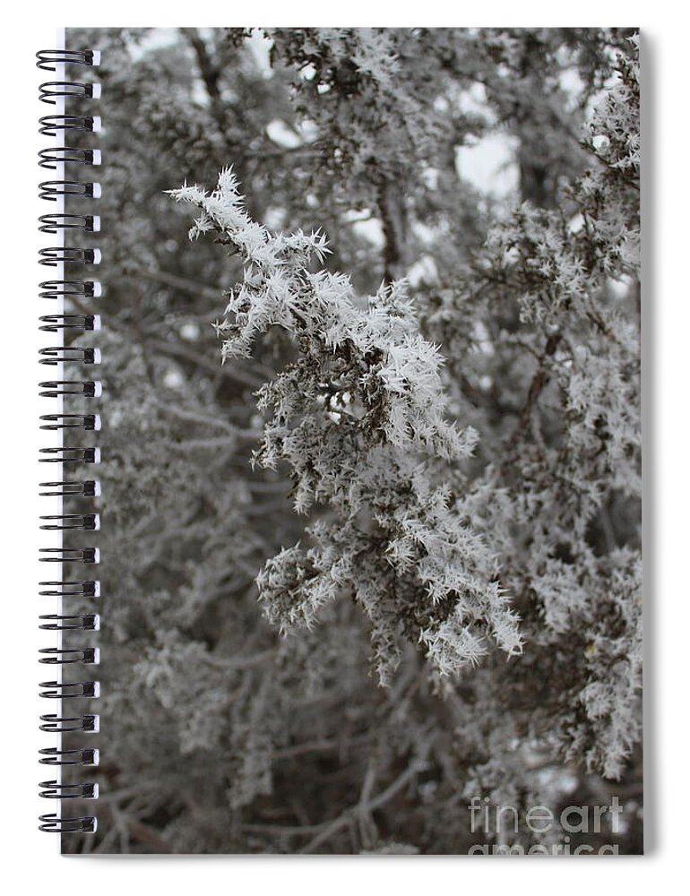 Frost Spiral Notebook featuring the photograph Jack Frost Was Here by Doug Miller
