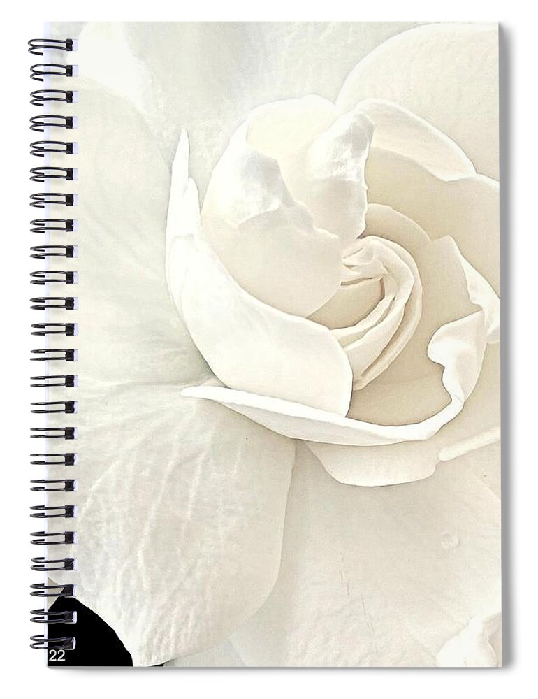 Gardenia Spiral Notebook featuring the photograph Jane's Gardenia by VIVA Anderson