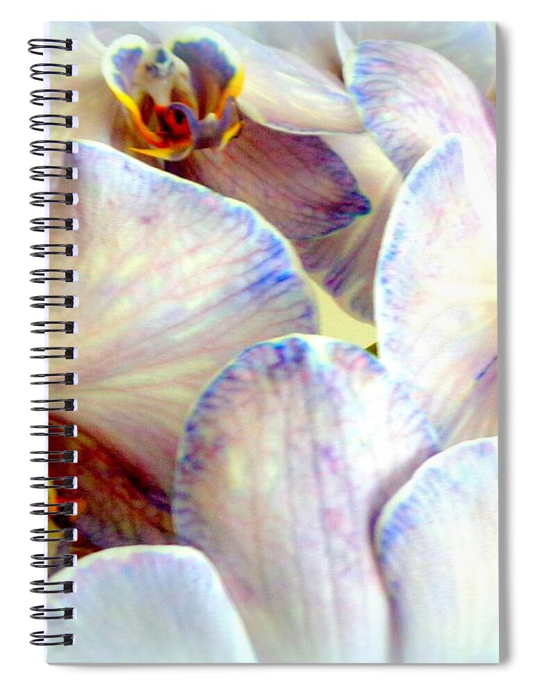 Orchids Beautiful 22 Spiral Notebook featuring the photograph Jane's Orchids Beautiful by VIVA Anderson
