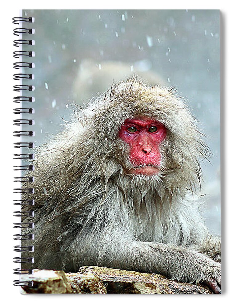  Spiral Notebook featuring the photograph Japan 48 by Eric Pengelly