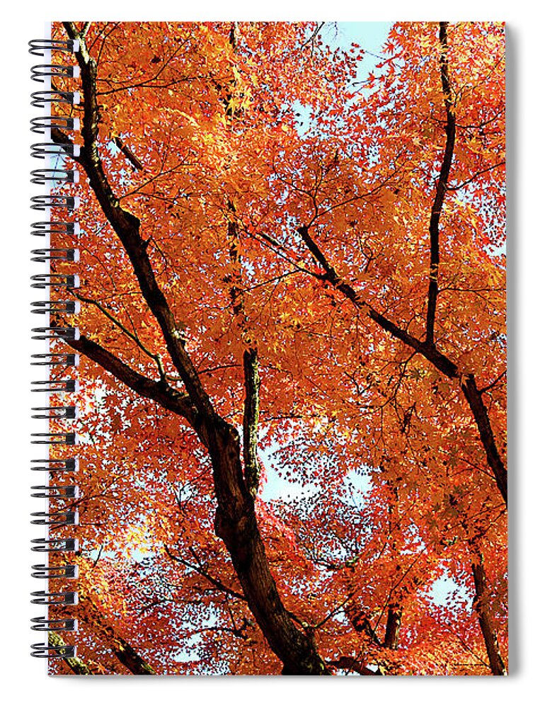  Spiral Notebook featuring the photograph Japan 57 by Eric Pengelly