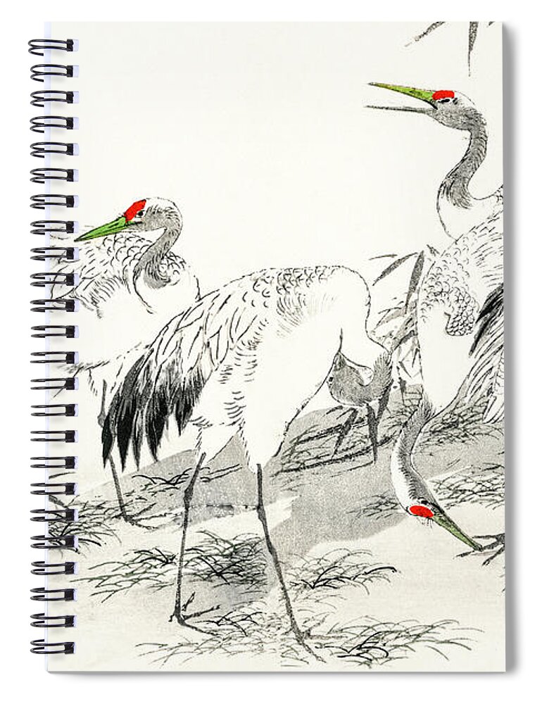 Japanese Spiral Notebook featuring the drawing Japanese Crane and Bamboo by Numata Kashu