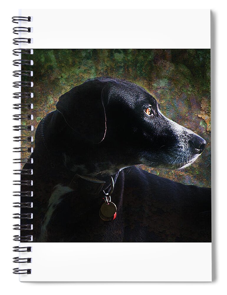 Dog Image Print Spiral Notebook featuring the photograph Jazz's Portrait by David Davies