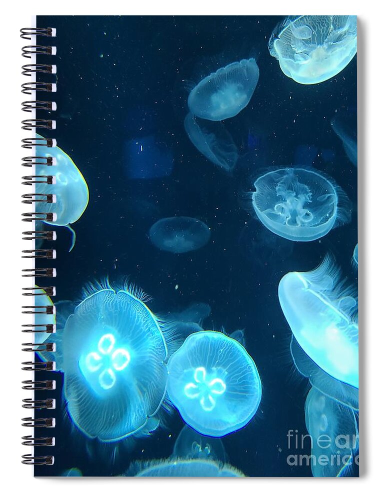 Jellyfish Spiral Notebook featuring the pyrography Jellies 3 by Elena Pratt