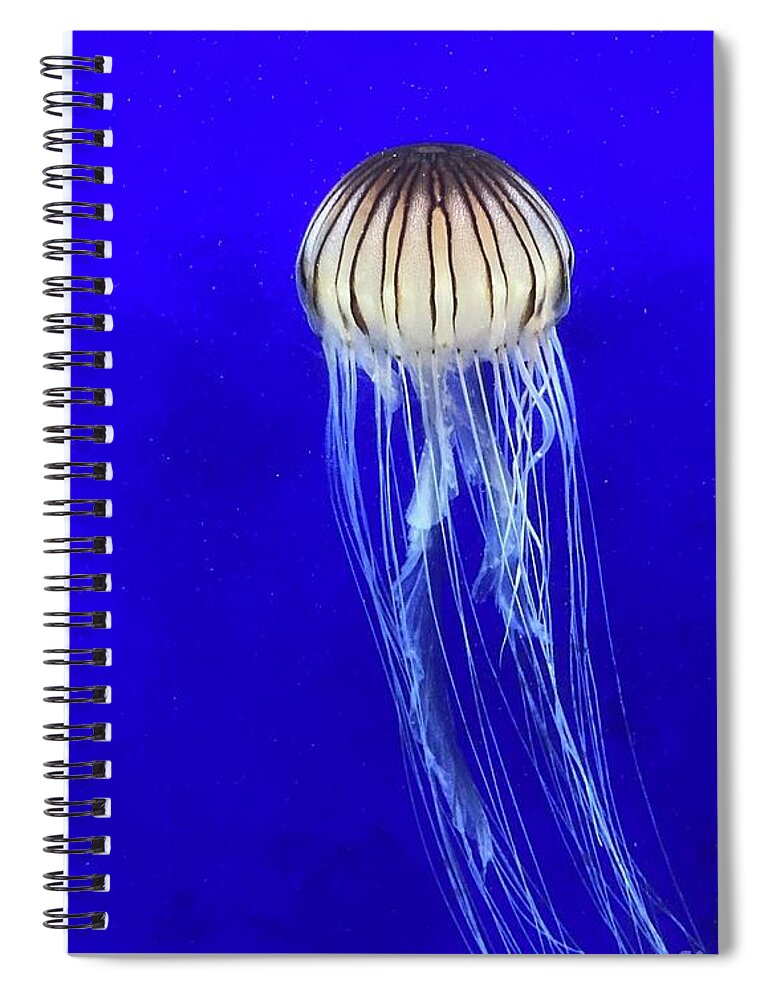 Jellyfish Spiral Notebook featuring the photograph Jellyfish in the Deep Blue by Barbara Von Pagel