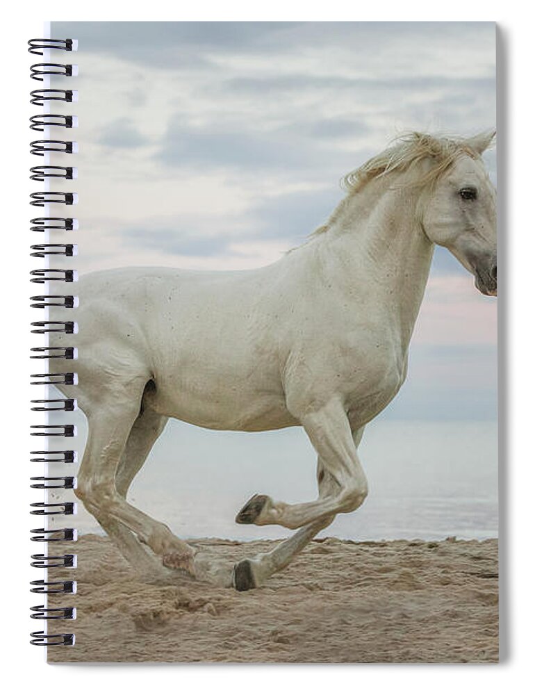 Photographs Spiral Notebook featuring the photograph Jerezano - Horse Art by Lisa Saint