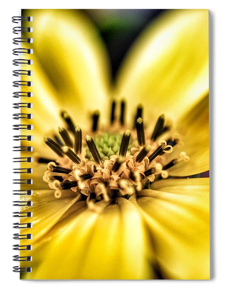 Photo Spiral Notebook featuring the photograph Jerusalem Artichoke by Evan Foster