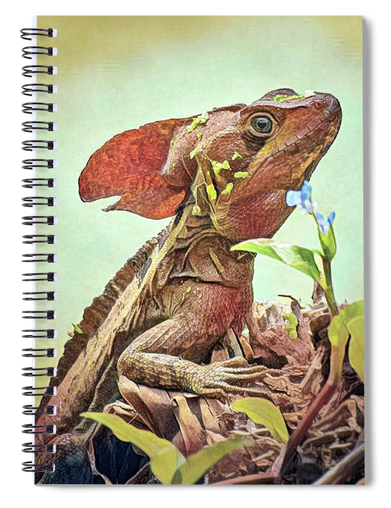 Jesus Lizard Spiral Notebook featuring the photograph Jesus Christ Lizard by Rebecca Herranen