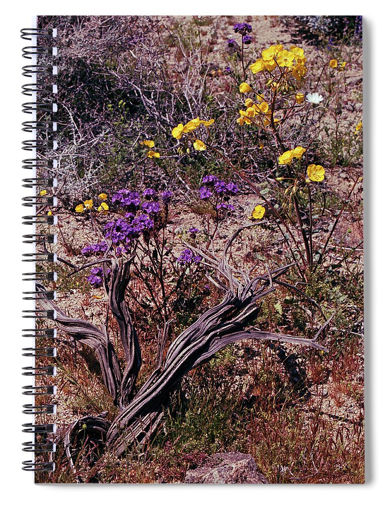 Tom Daniel Spiral Notebook featuring the photograph Joshua Bouquet by Tom Daniel